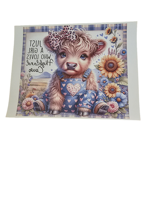 #252