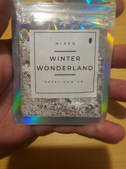 #497 Winter Wonder Land Chunky Glitter